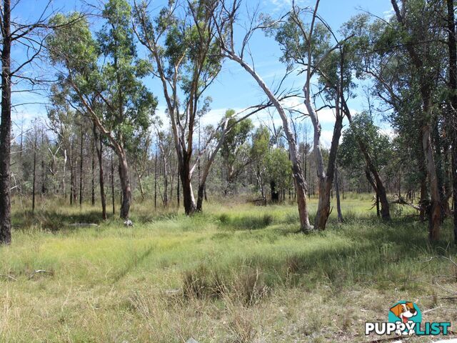 1094B Wallangra Road ASHFORD NSW 2361
