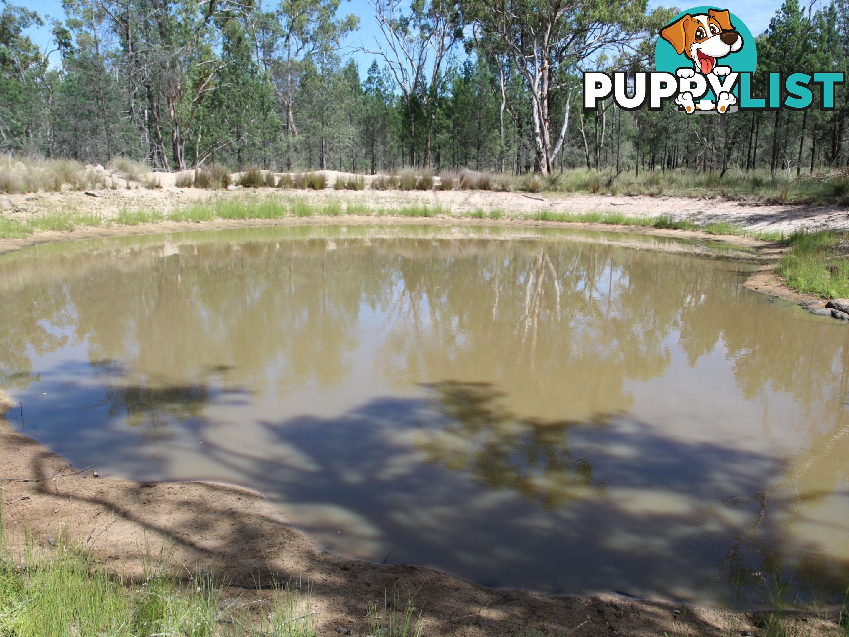 1094B Wallangra Road ASHFORD NSW 2361