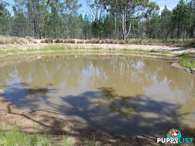 1094B Wallangra Road ASHFORD NSW 2361