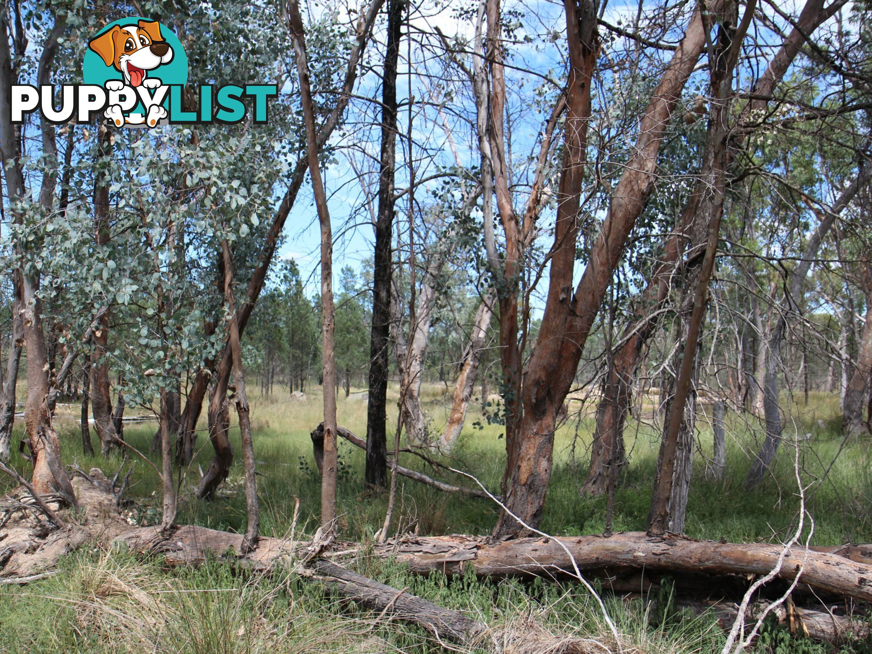 1094B Wallangra Road ASHFORD NSW 2361