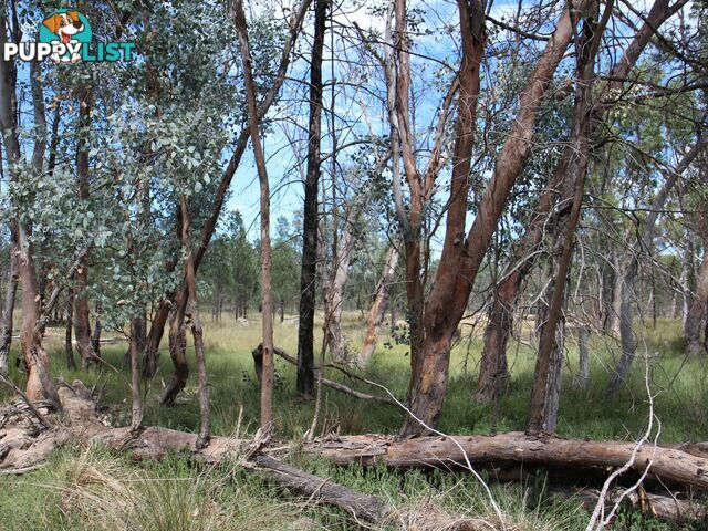 1094B Wallangra Road ASHFORD NSW 2361