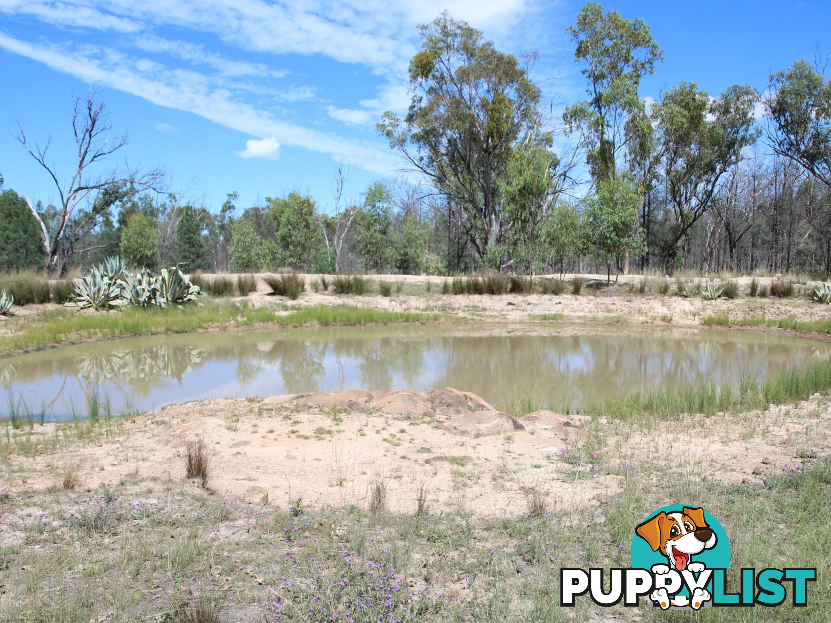 1094B Wallangra Road ASHFORD NSW 2361