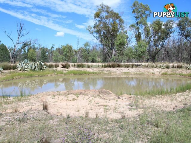 1094B Wallangra Road ASHFORD NSW 2361