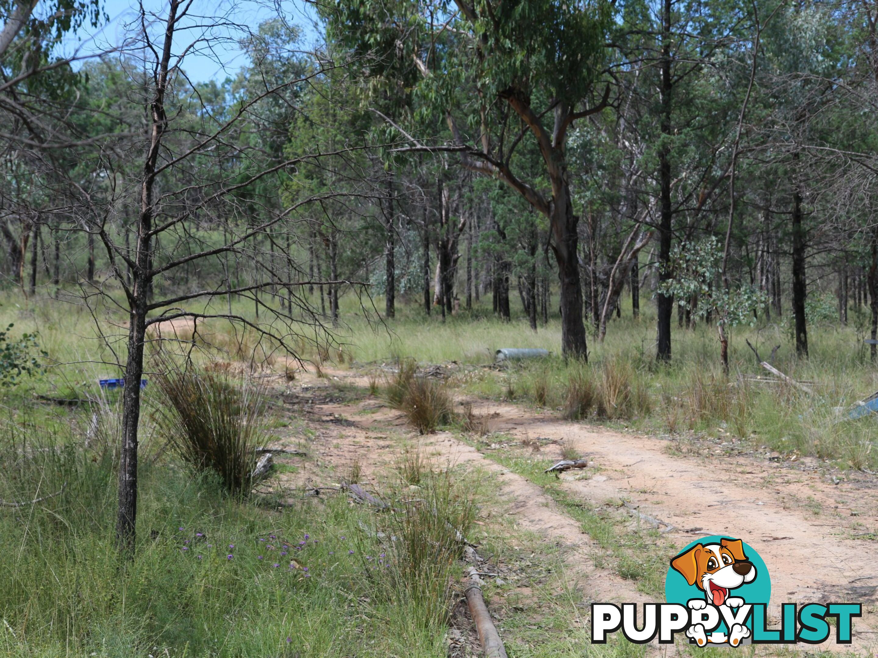 1094B Wallangra Road ASHFORD NSW 2361