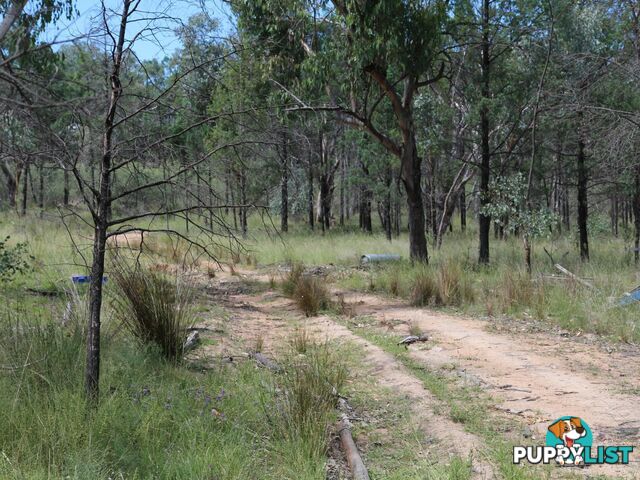 1094B Wallangra Road ASHFORD NSW 2361