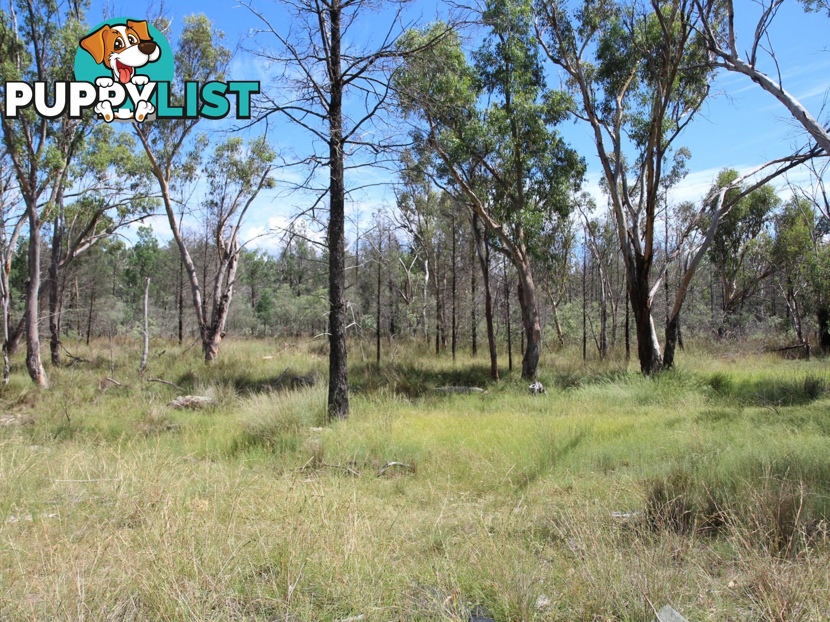 1094B Wallangra Road ASHFORD NSW 2361