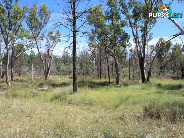 1094B Wallangra Road ASHFORD NSW 2361