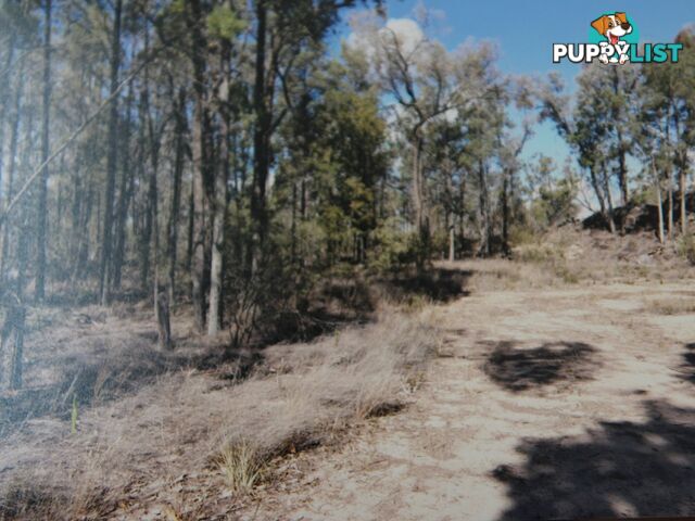 1094B Wallangra Road ASHFORD NSW 2361
