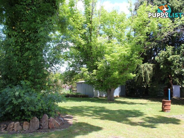 4 Young Street GLEN INNES NSW 2370