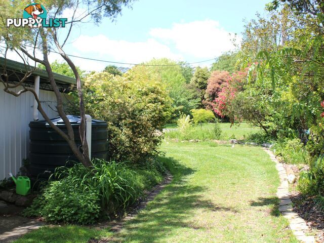 4 Young Street GLEN INNES NSW 2370