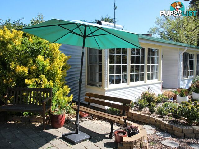 4 Young Street GLEN INNES NSW 2370