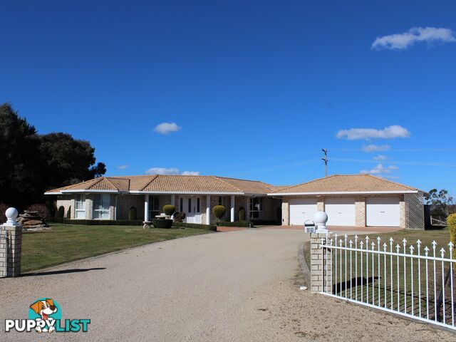 39 Robinson Avenue GLEN INNES NSW 2370