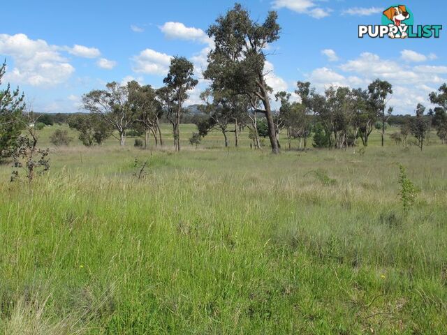 189/753272 New England Highway DEEPWATER NSW 2371