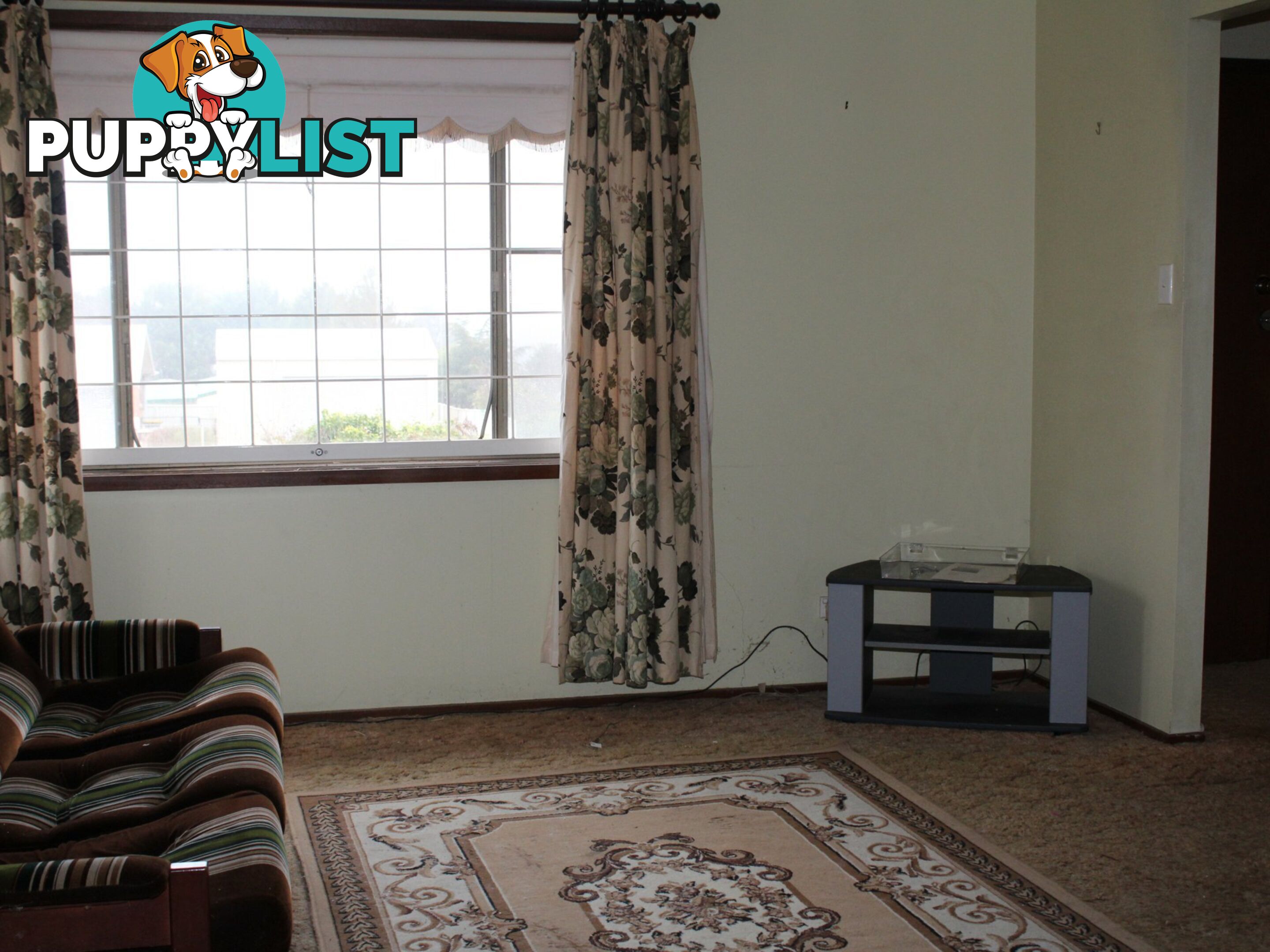 1 Young Street GLEN INNES NSW 2370