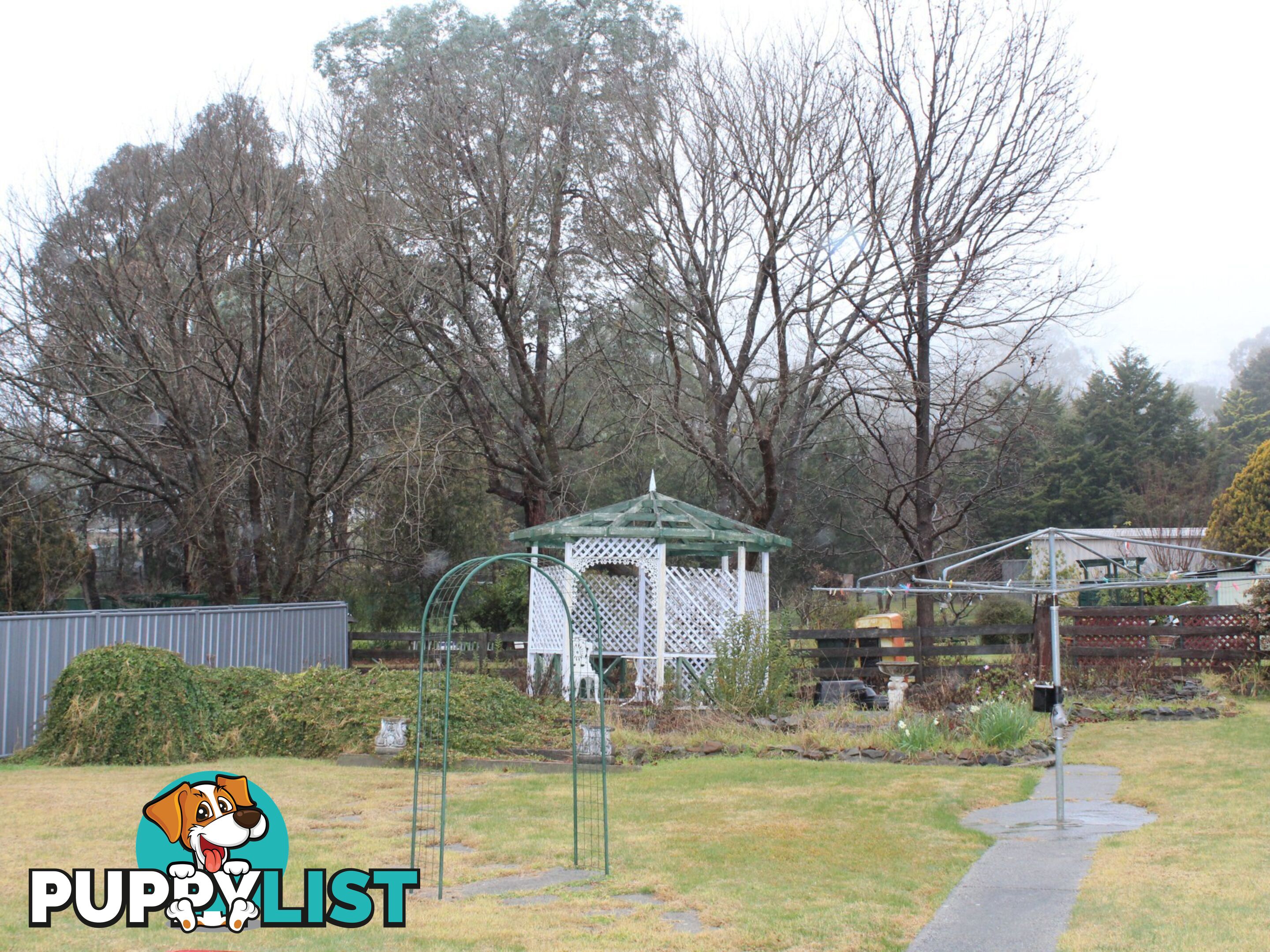 1 Young Street GLEN INNES NSW 2370
