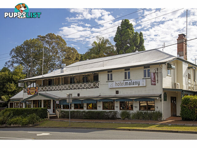 2 45 Maple Street Maleny QLD 4552