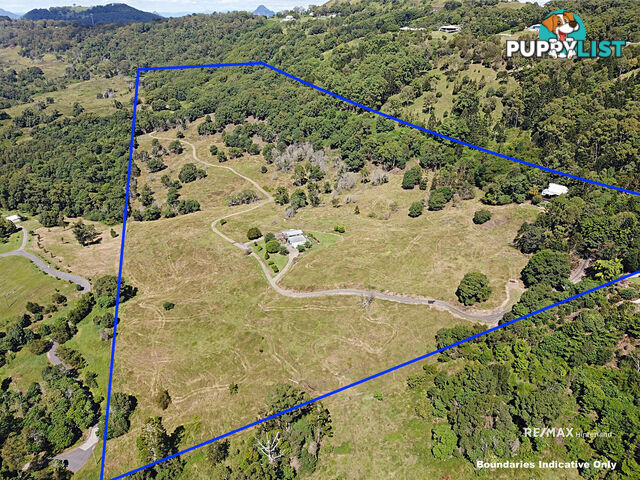 439 Brandenburg Road Bald Knob QLD 4552