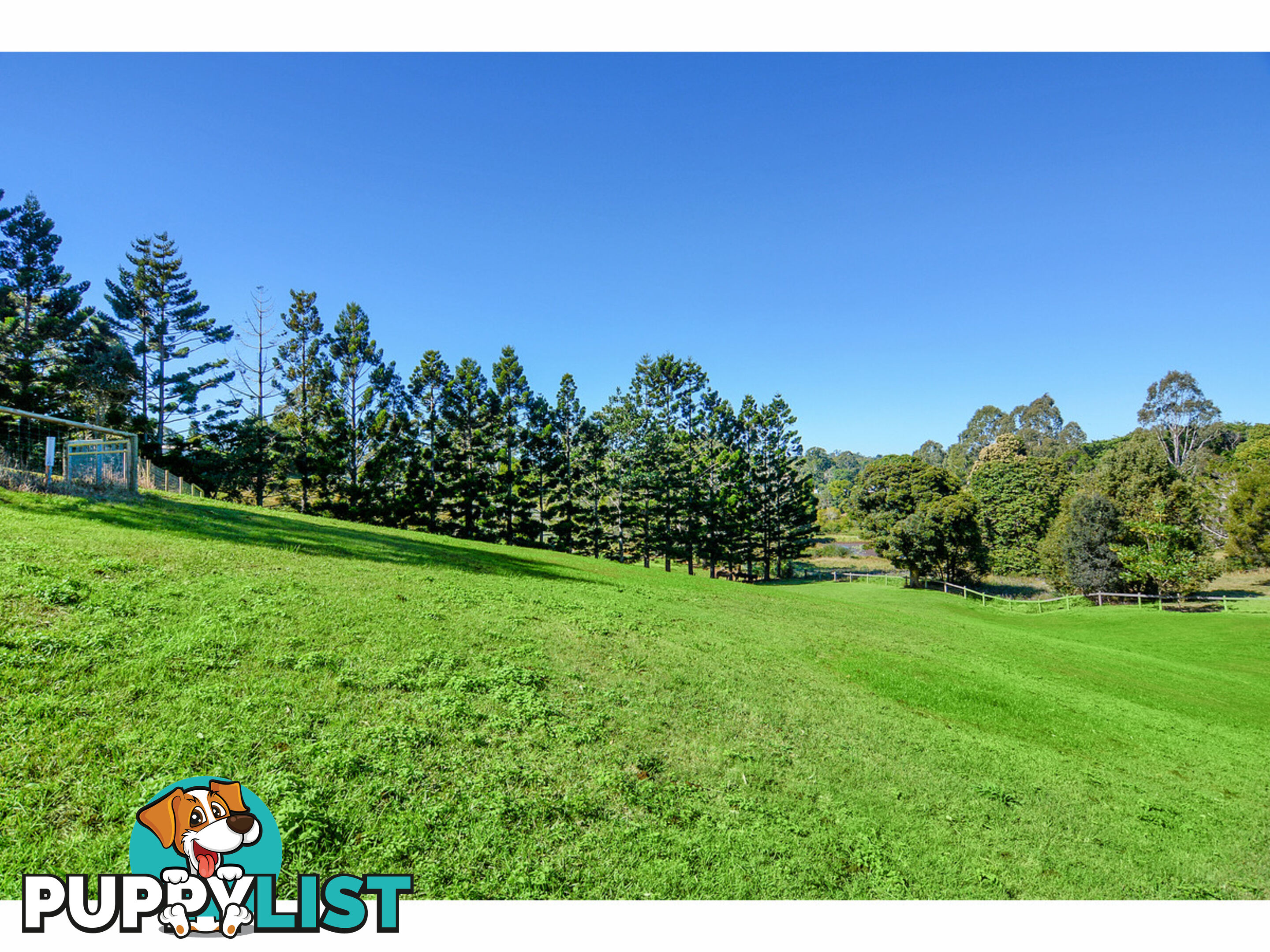 84 Burgum Road North Maleny QLD 4552