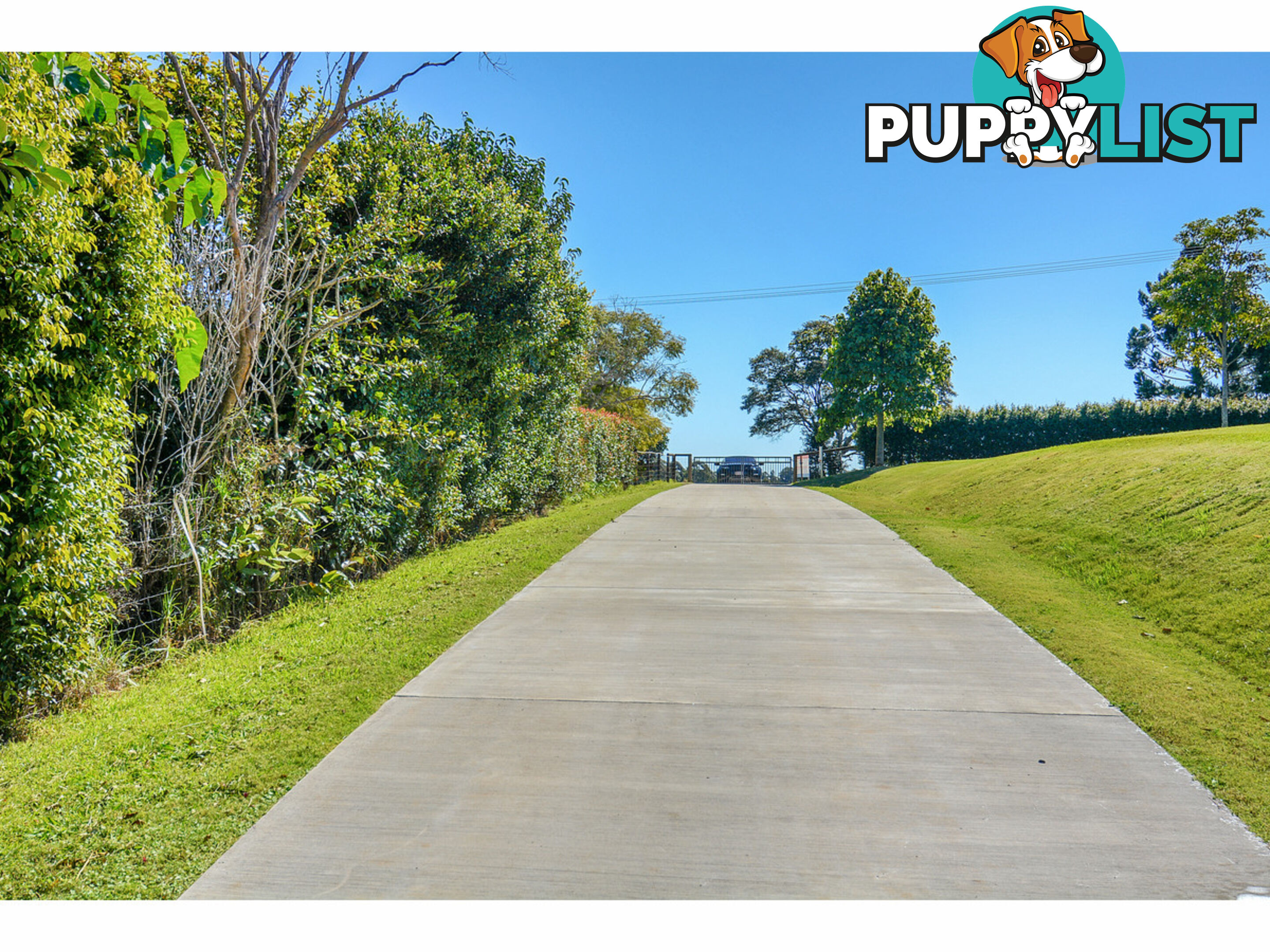 84 Burgum Road North Maleny QLD 4552