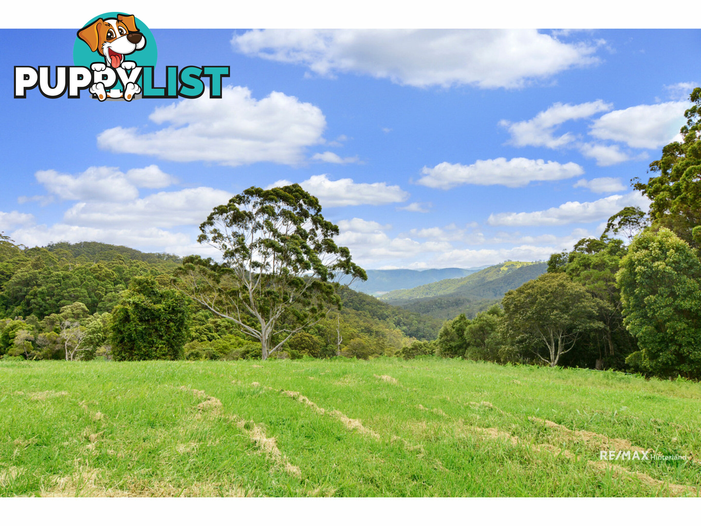 1261 - 1301 Maleny Stanley River Road Booroobin QLD 4552