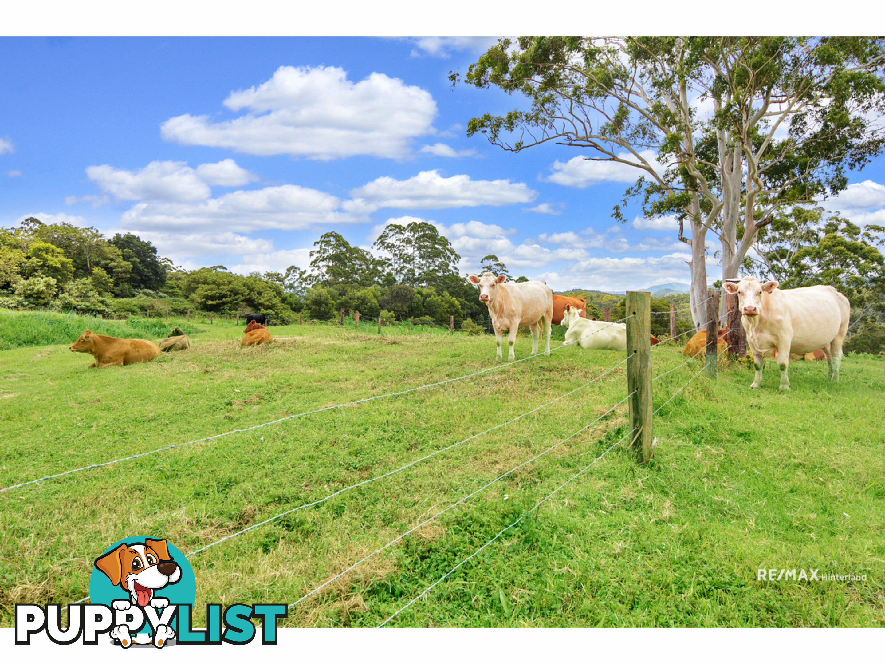 1261 - 1301 Maleny Stanley River Road Booroobin QLD 4552