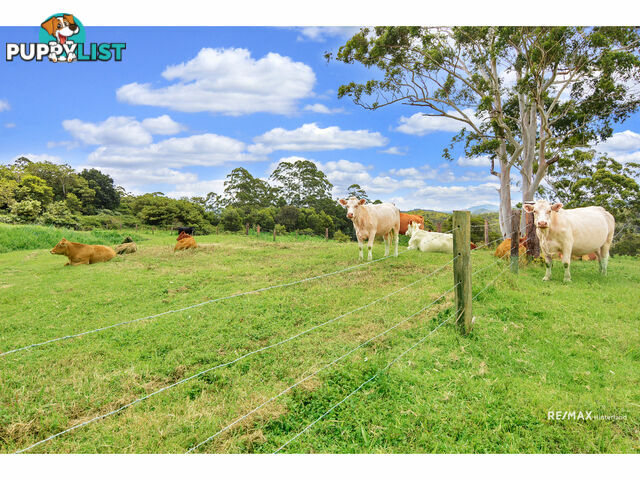 1261 - 1301 Maleny Stanley River Road Booroobin QLD 4552