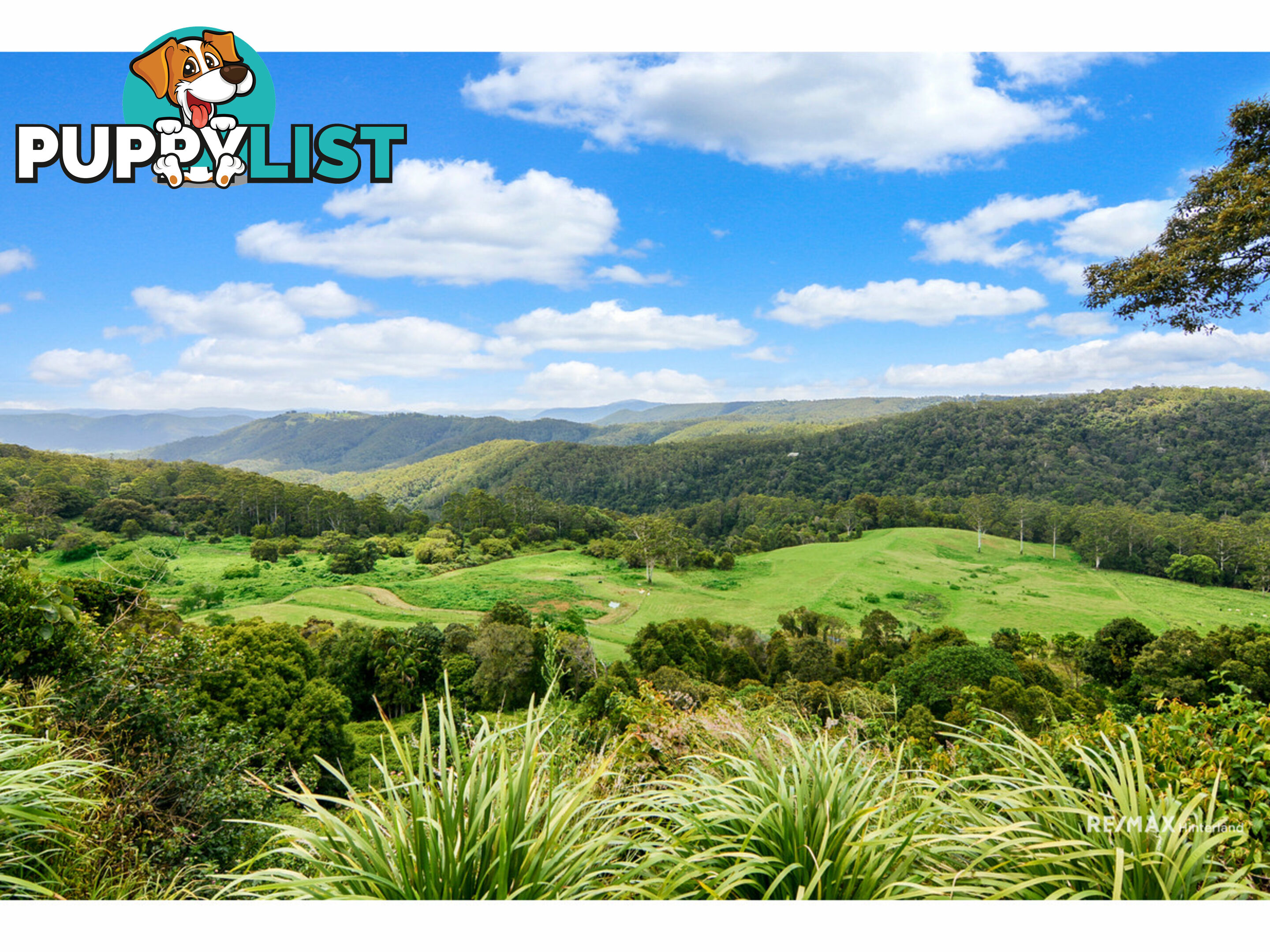 1261 - 1301 Maleny Stanley River Road Booroobin QLD 4552