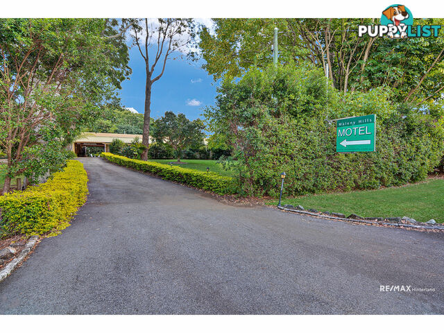 932 Maleny-Montville Road Balmoral Ridge QLD 4552