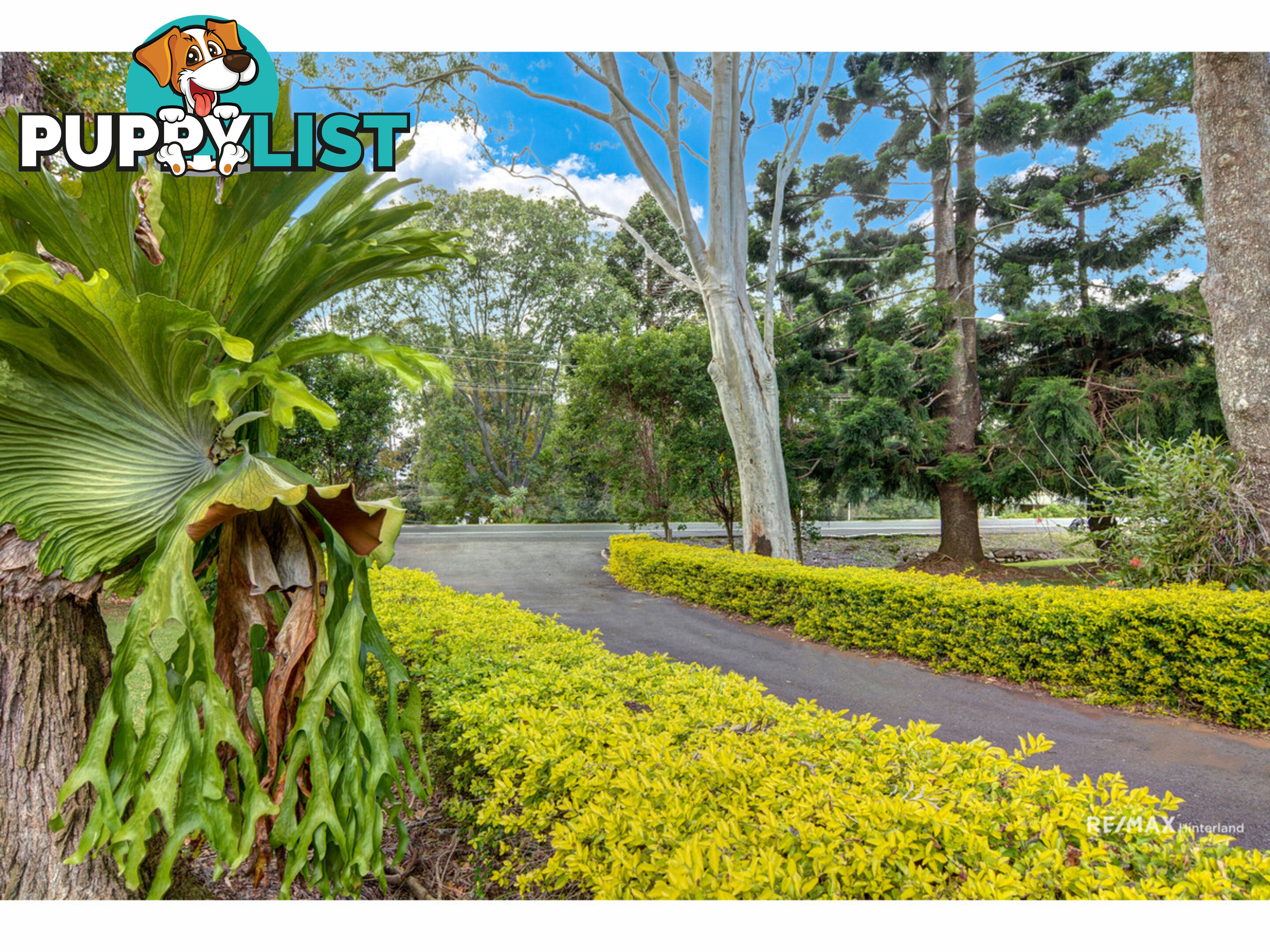 932 Maleny-Montville Road Balmoral Ridge QLD 4552