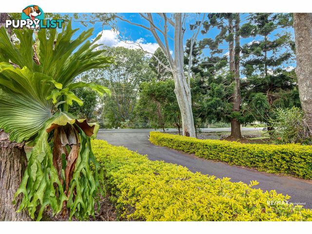 932 Maleny-Montville Road Balmoral Ridge QLD 4552