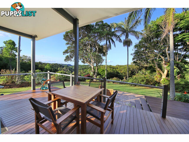 135 - 137 Western Avenue Montville QLD 4560