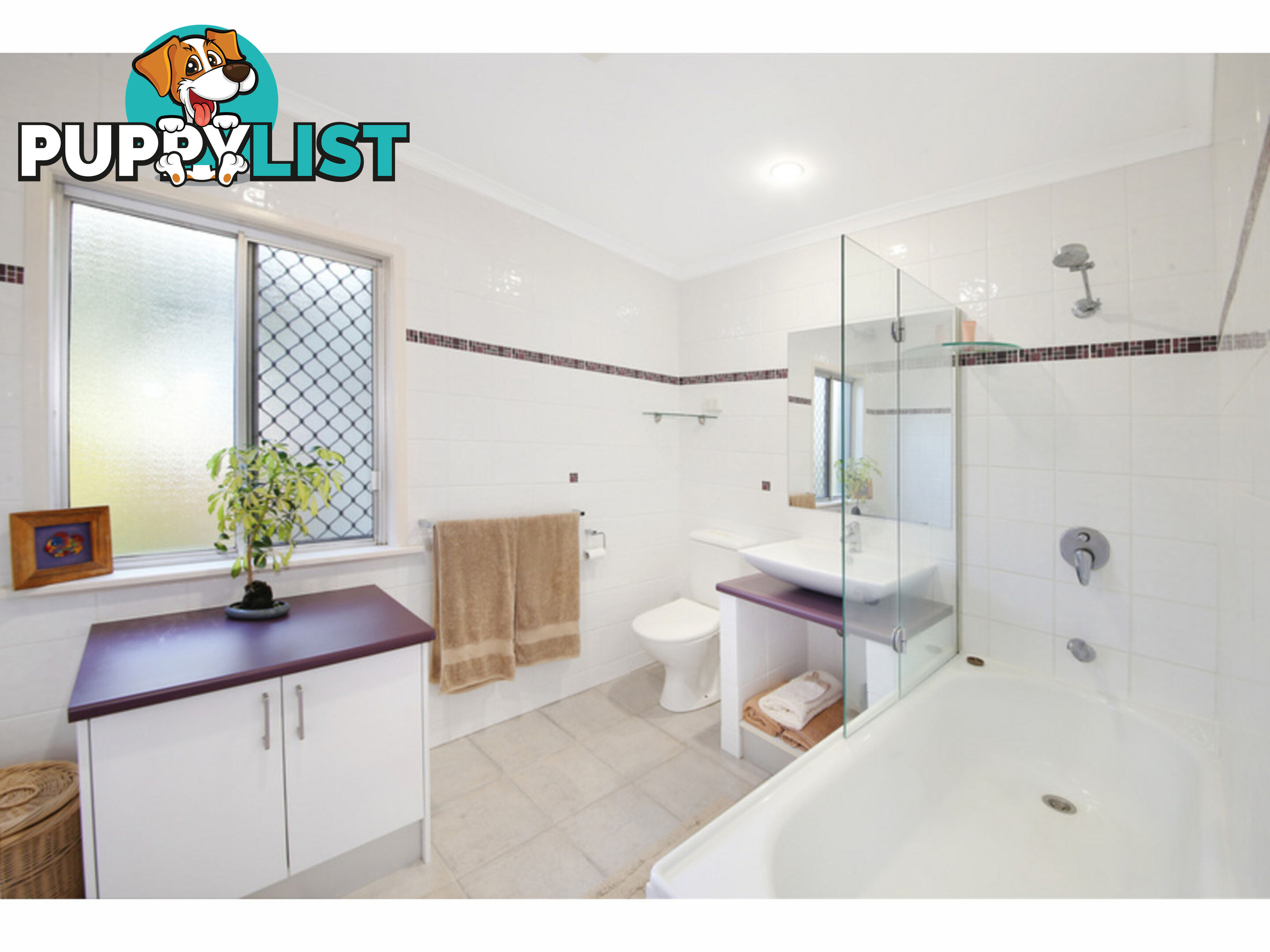 135 - 137 Western Avenue Montville QLD 4560