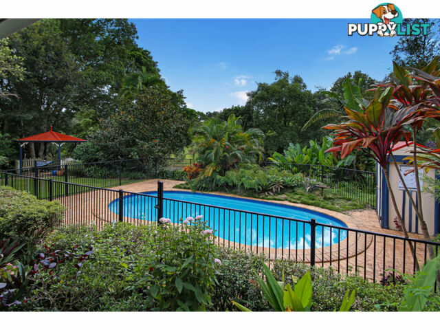 27 Glen Eden Court Flaxton QLD 4560