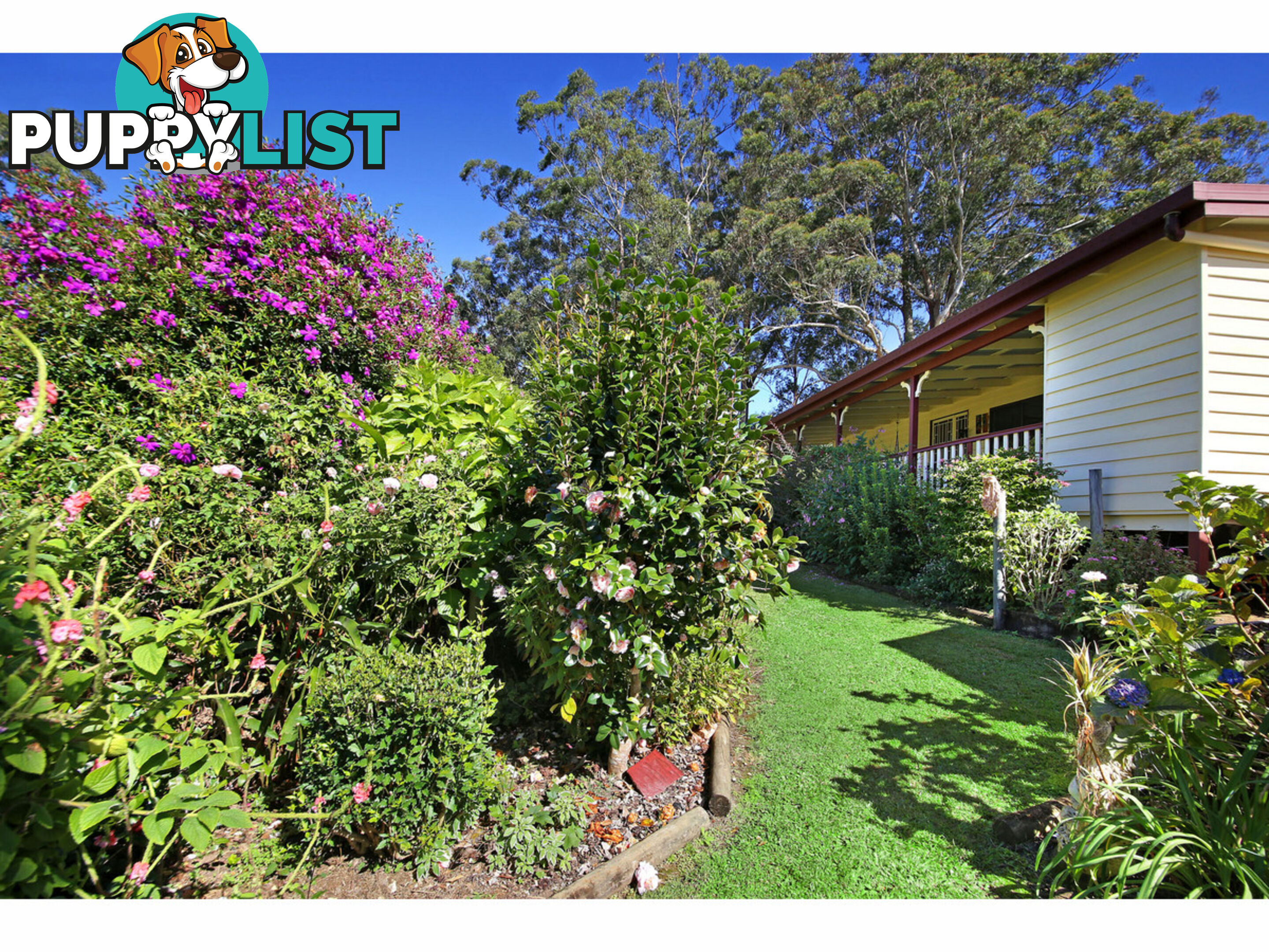 5 Azalea Street Mapleton QLD 4560