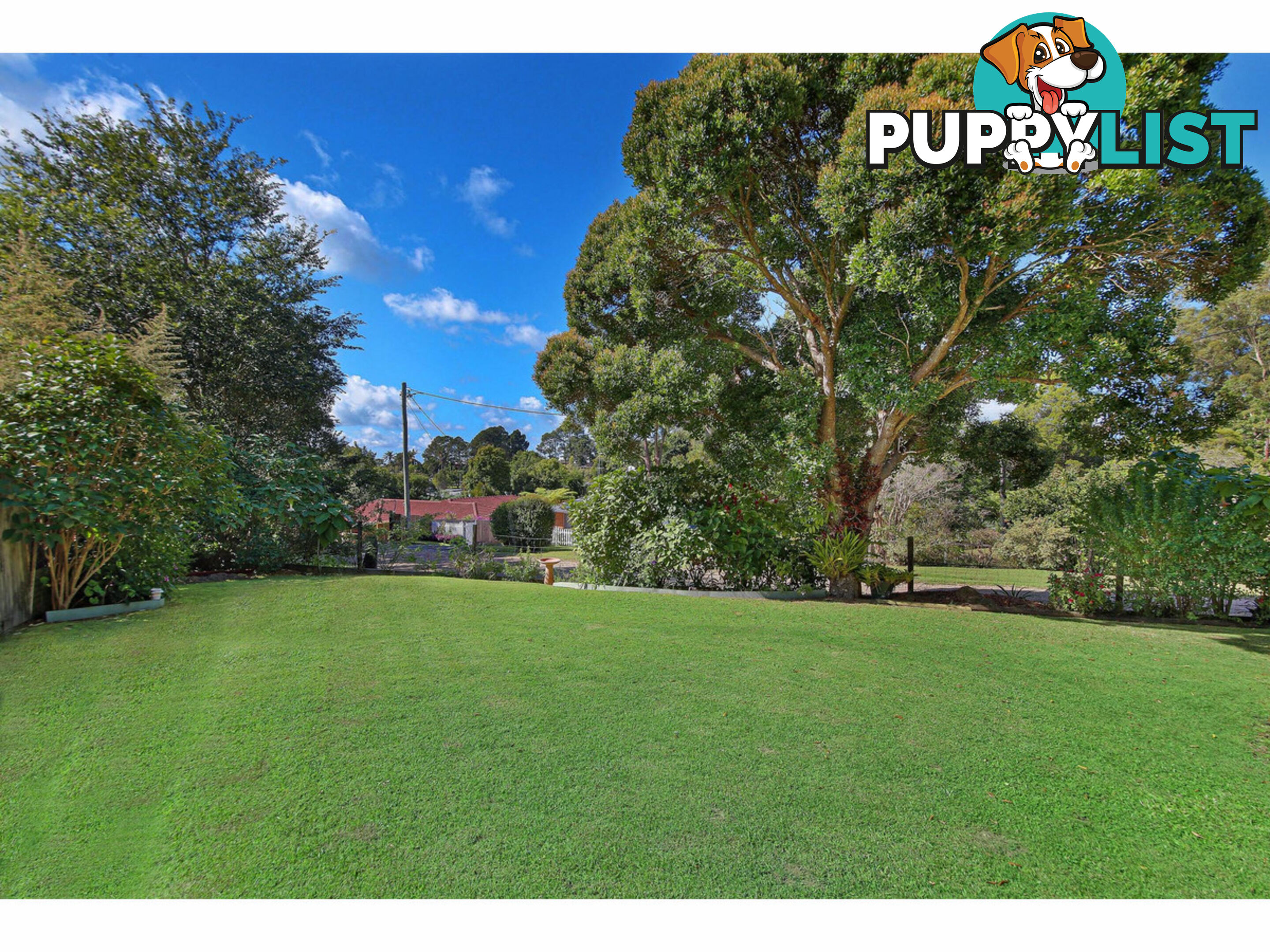 5 Azalea Street Mapleton QLD 4560