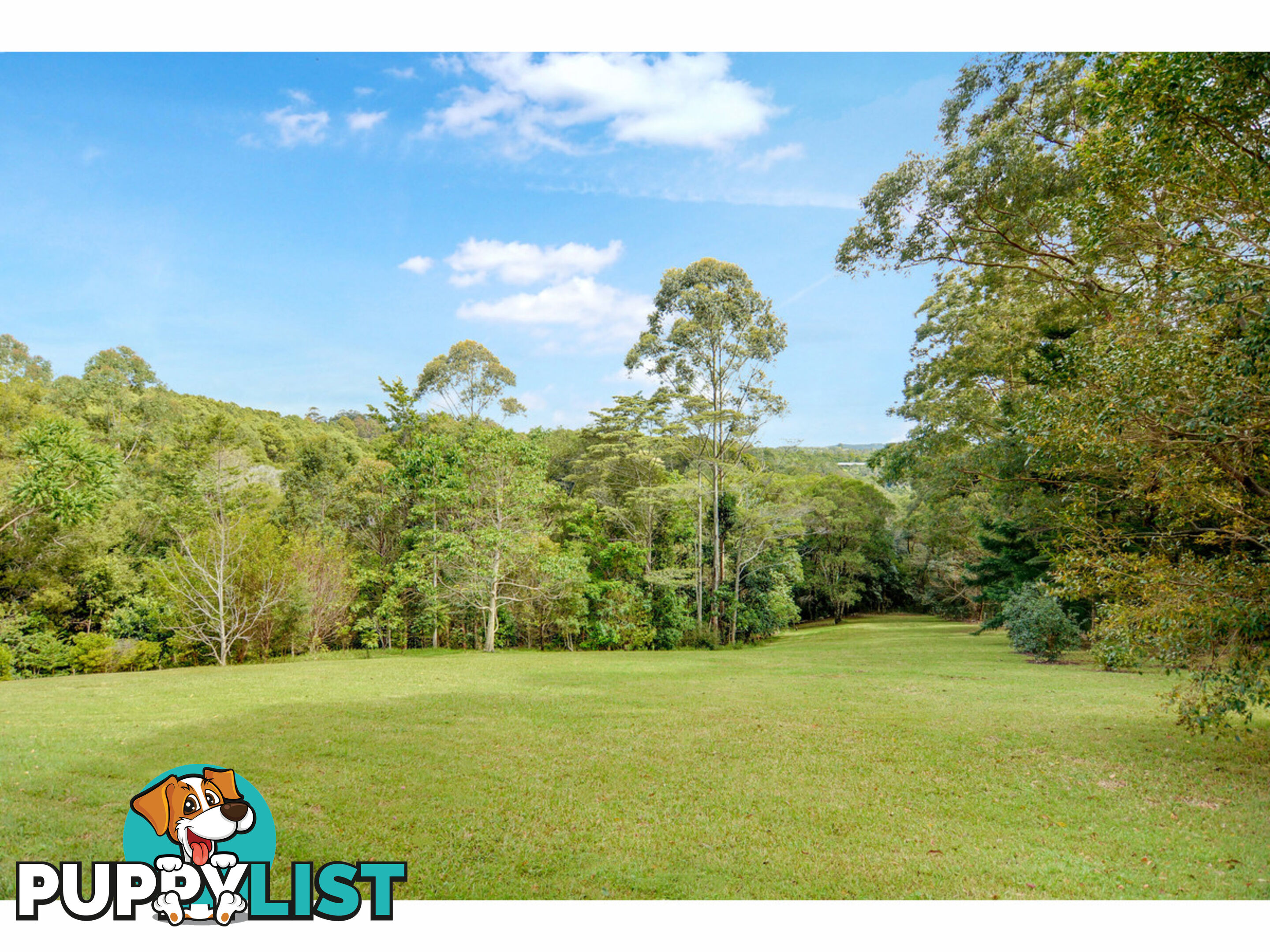 15 Beechwood Road Balmoral Ridge QLD 4552