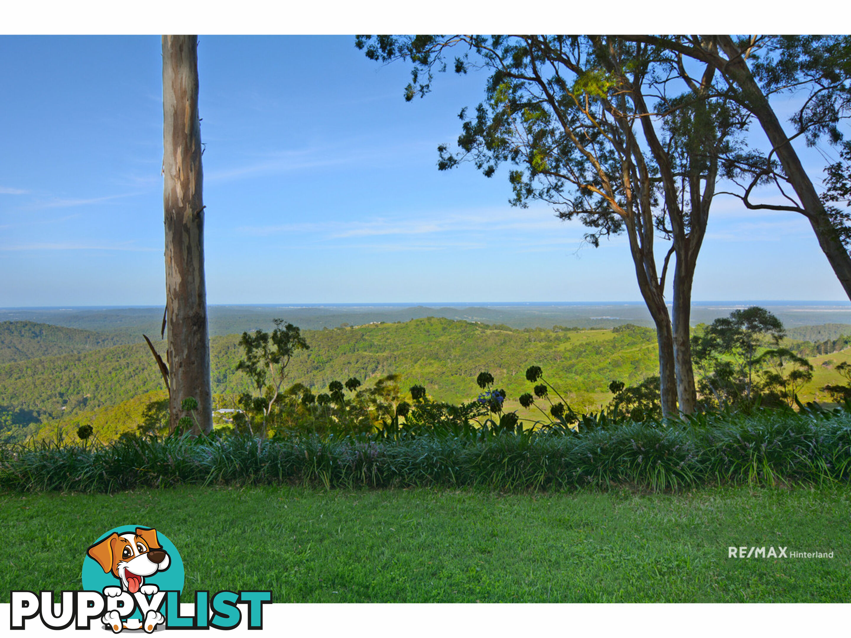 6 Ensbey Road Bald Knob QLD 4552