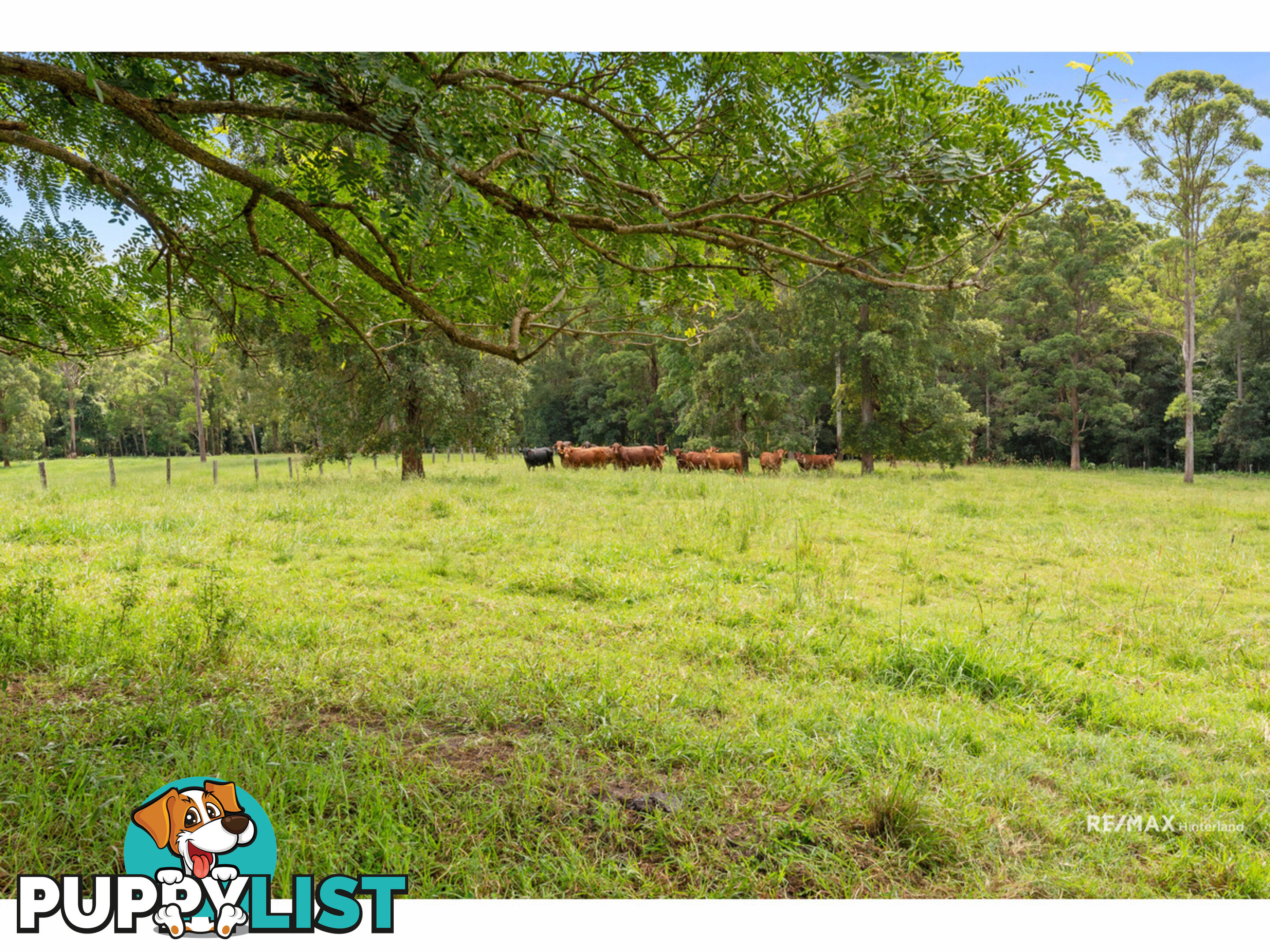 265 Storrs Road Peachester QLD 4519