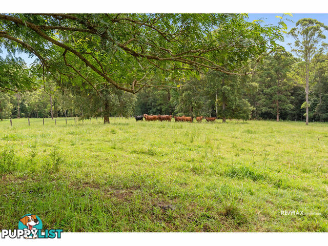 265 Storrs Road Peachester QLD 4519