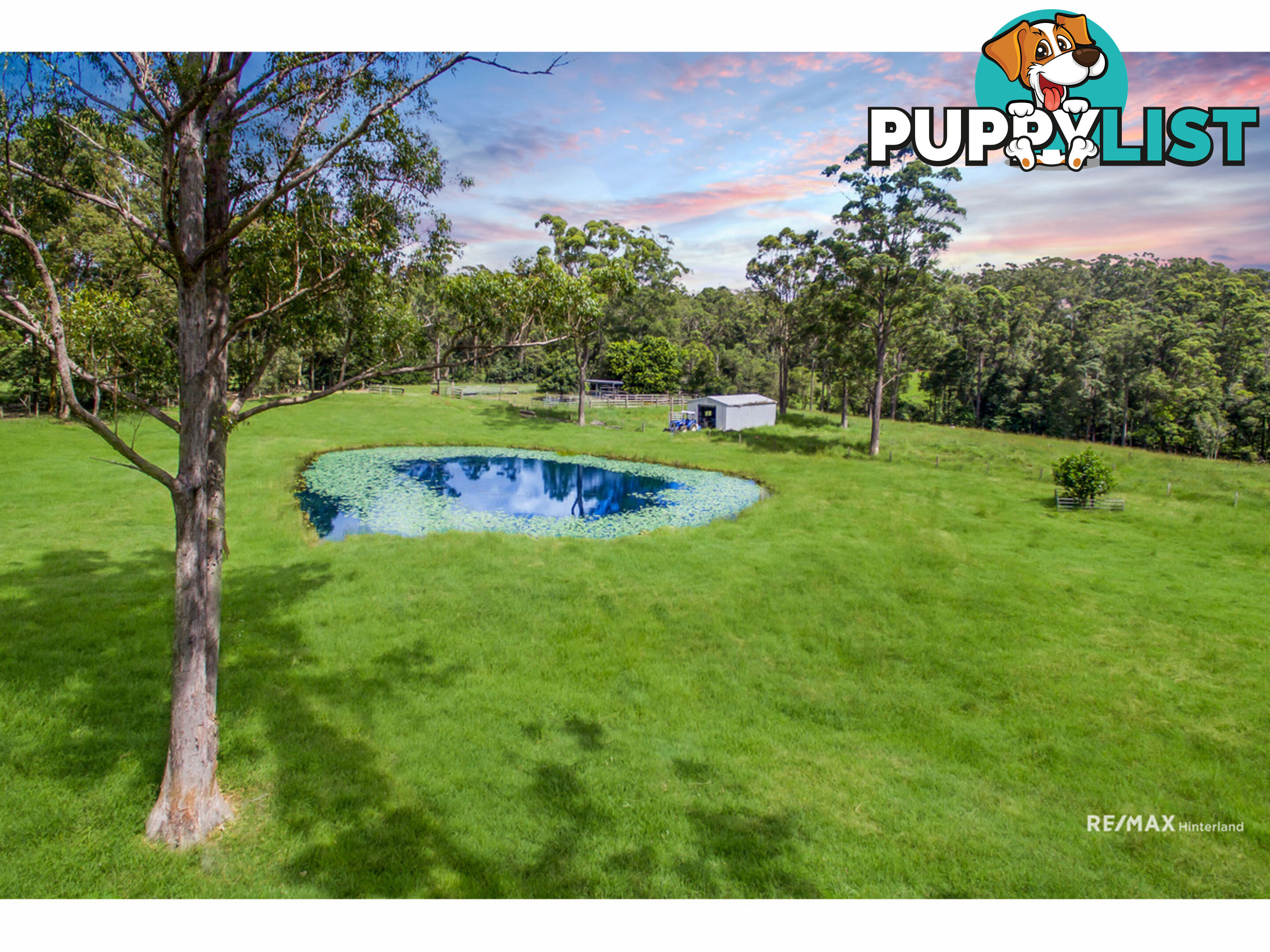 265 Storrs Road Peachester QLD 4519