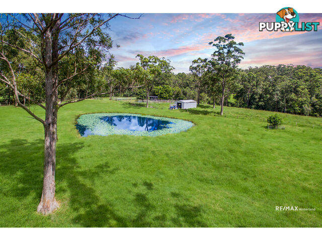 265 Storrs Road Peachester QLD 4519