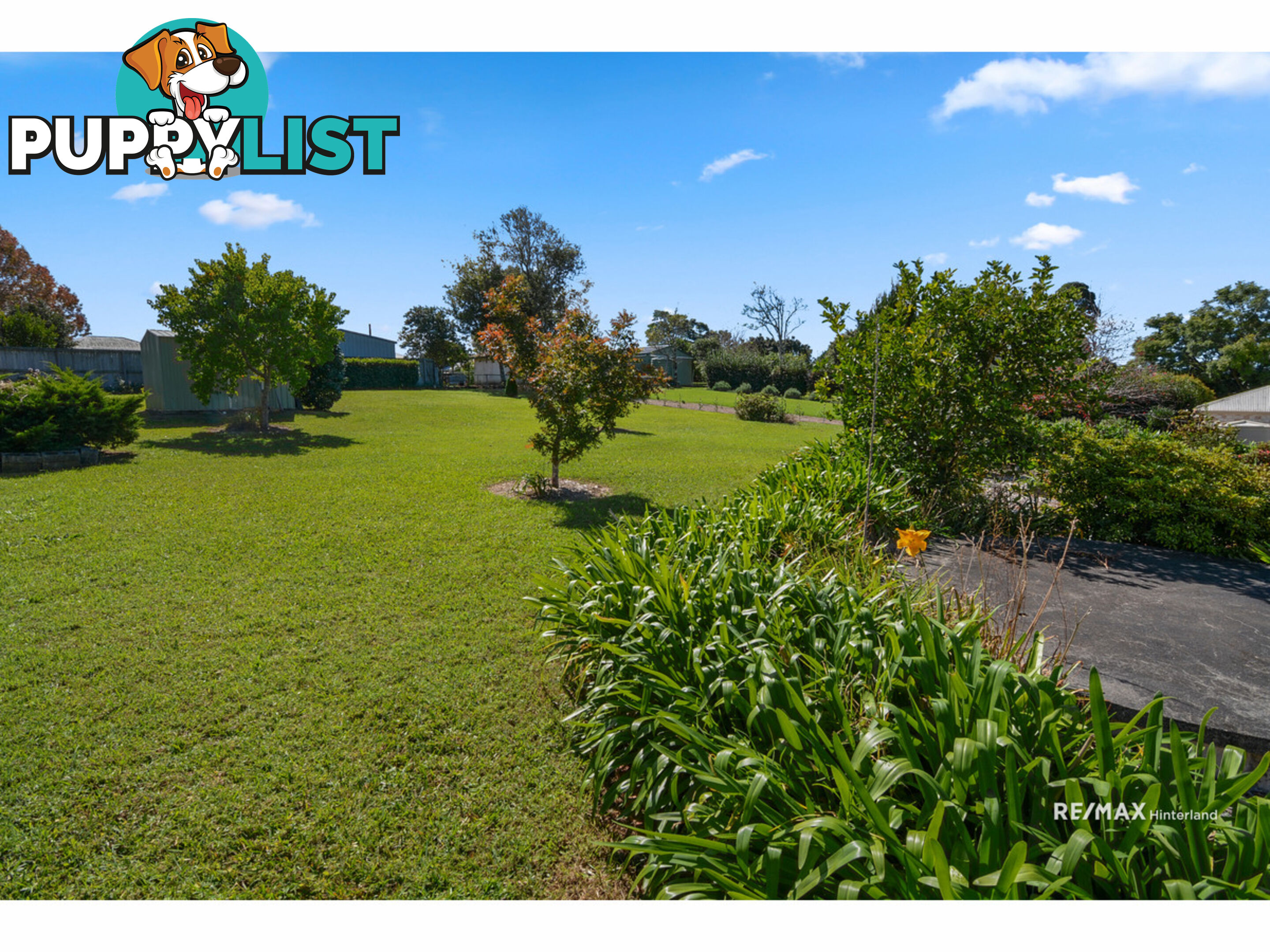 21 Water Gum Crescent Maleny QLD 4552