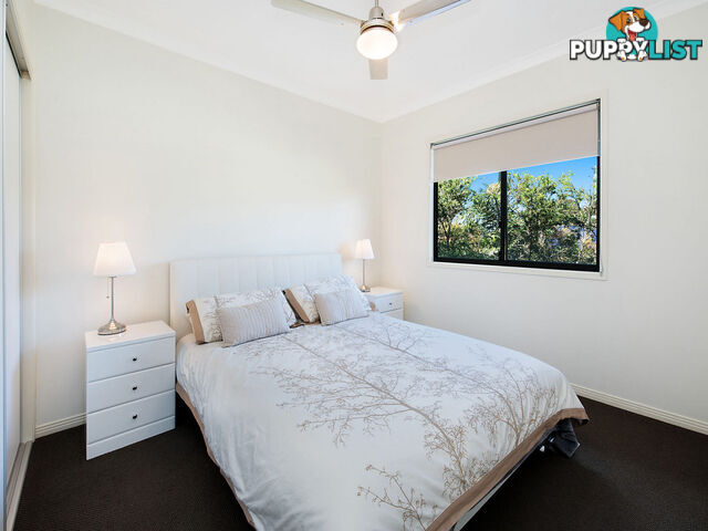 4 Frangipanni Court Montville QLD 4560