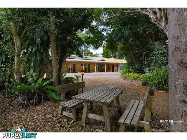 932 Maleny-Montville Road Balmoral Ridge QLD 4552