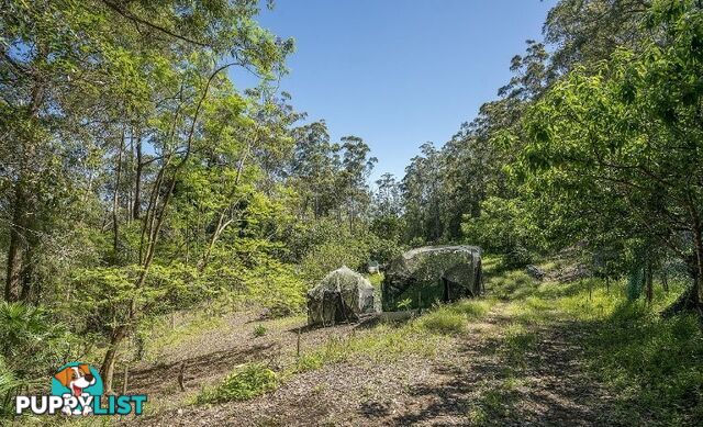 11 Drumalbyn Close WYOMING NSW 2250