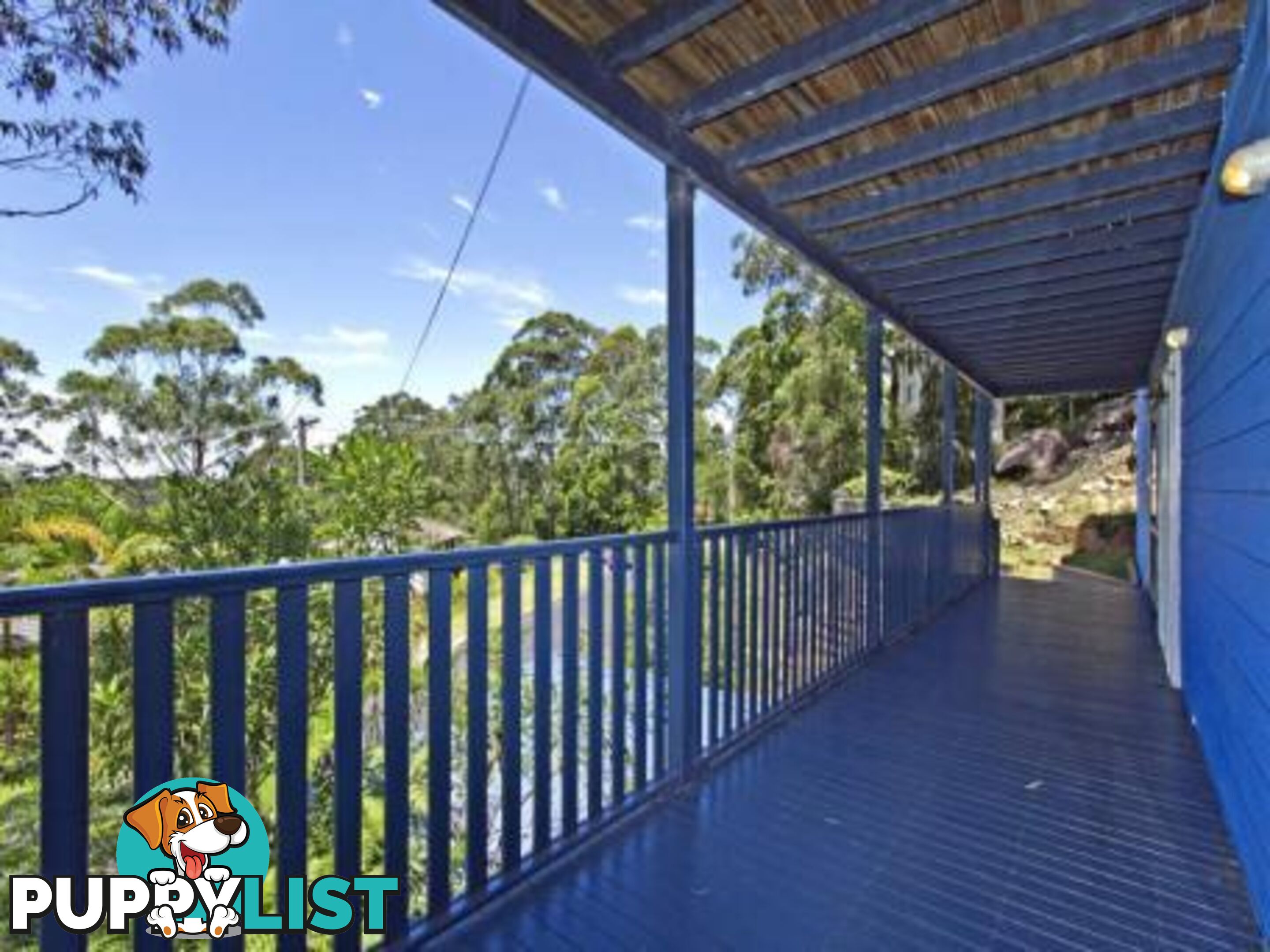 25 Woolard Road SPRINGFIELD NSW 2250