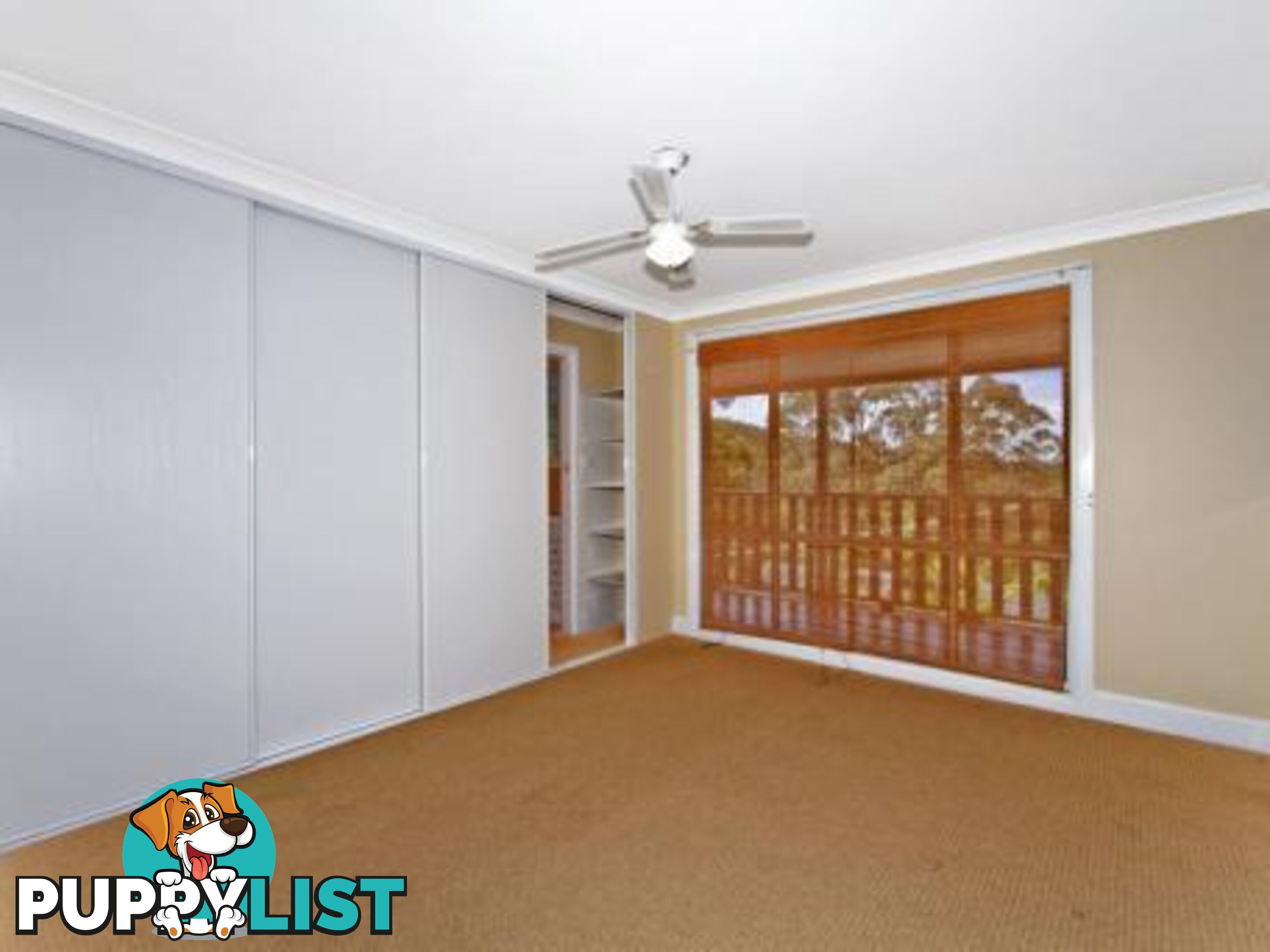 25 Woolard Road SPRINGFIELD NSW 2250