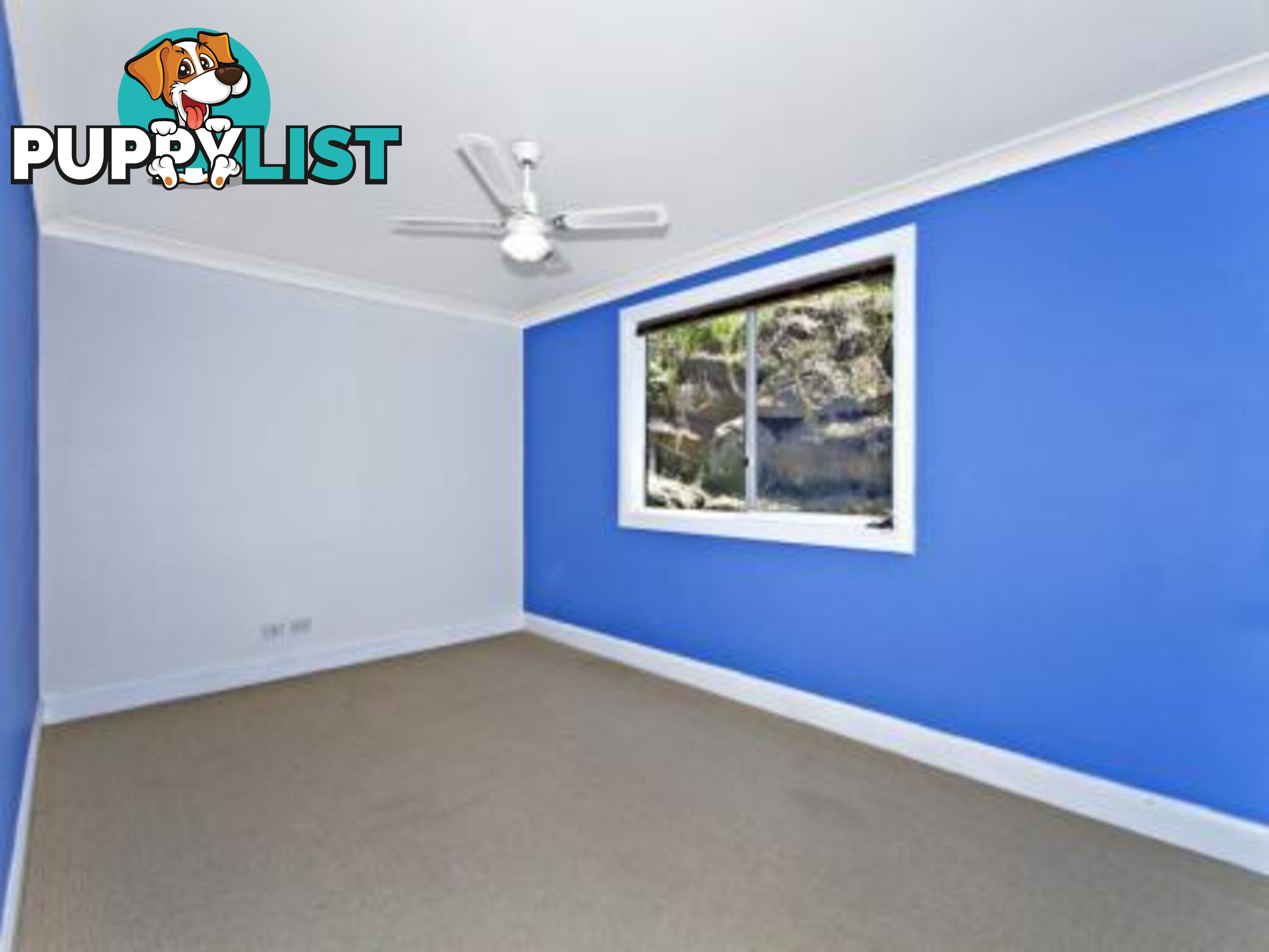 25 Woolard Road SPRINGFIELD NSW 2250