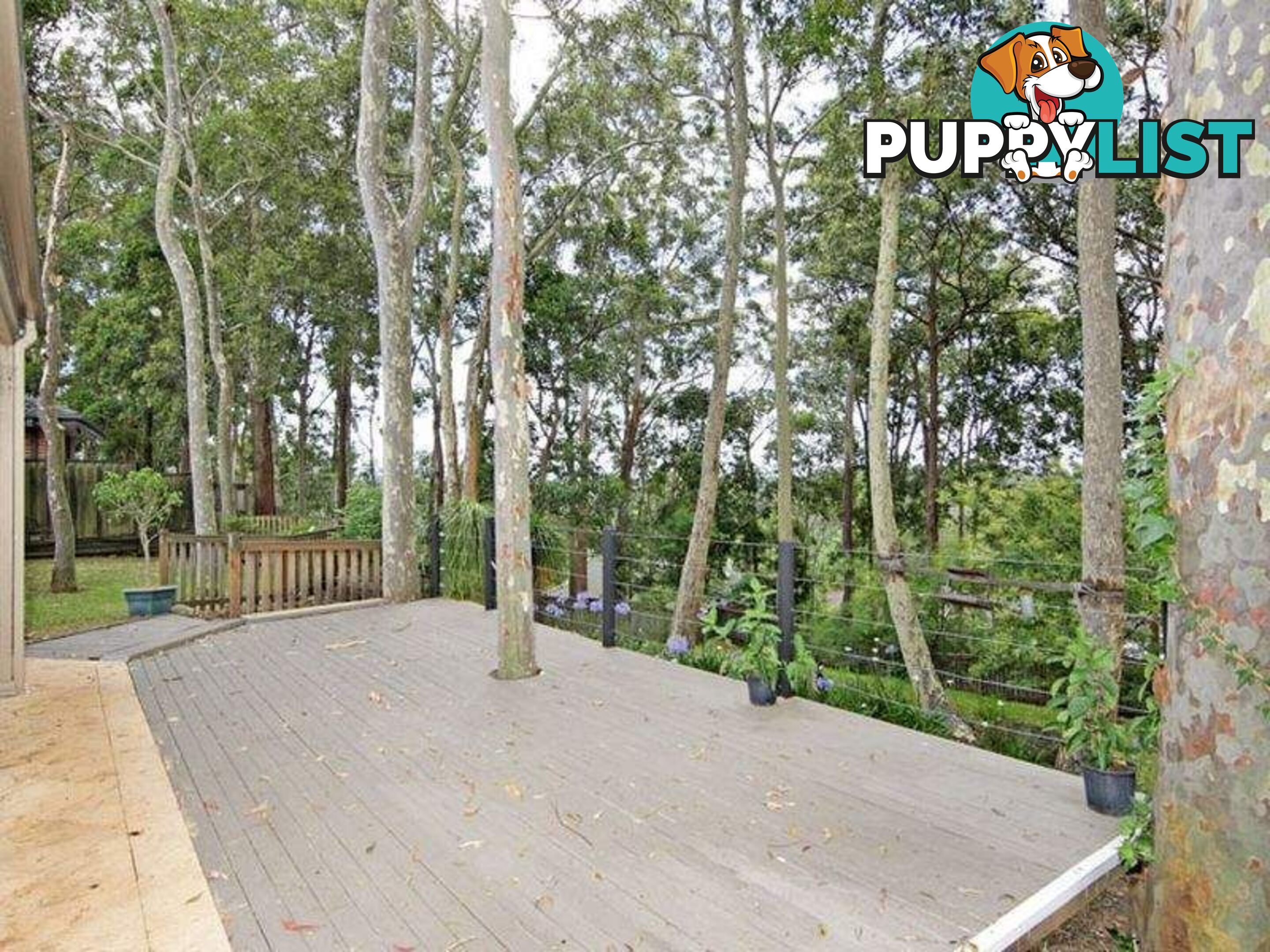 11 Ashwood Close GLENNING VALLEY NSW 2261