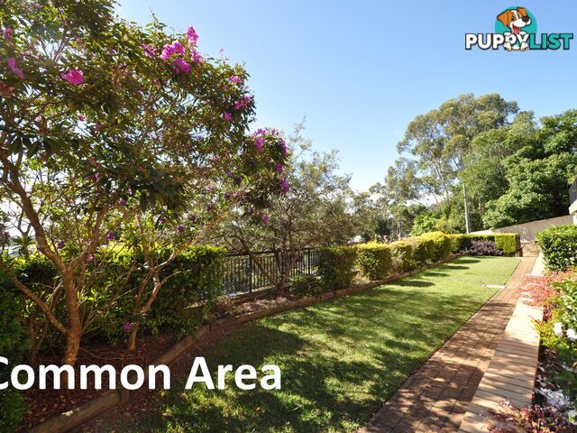 6/93-95 Faunce Street West Street GOSFORD NSW 2250